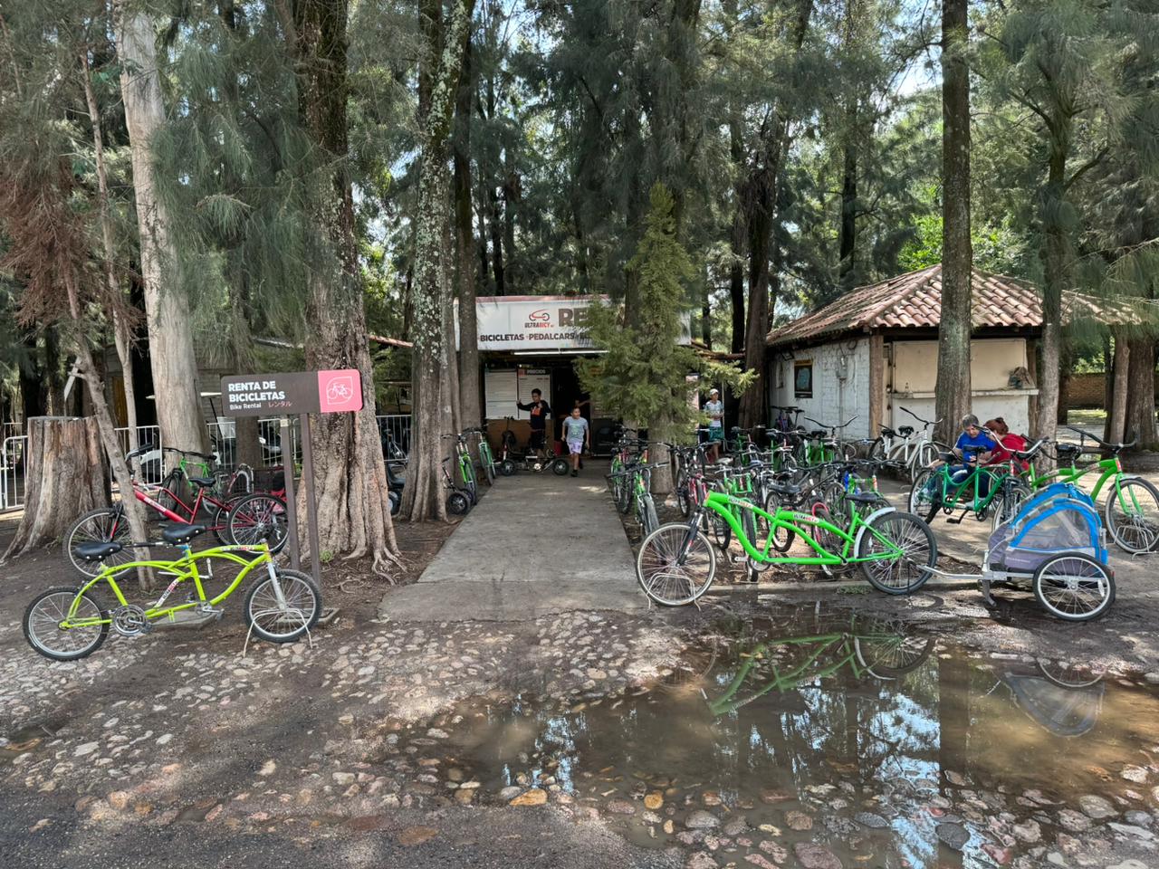 Metropolitano